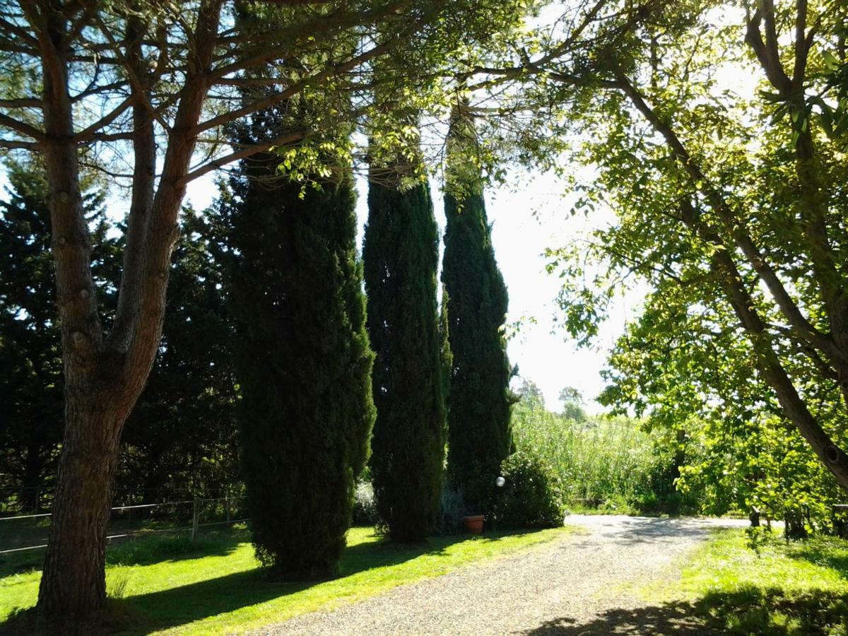 Agriturismo Piana Arborello Hotel Magliano in Toscana Exterior photo