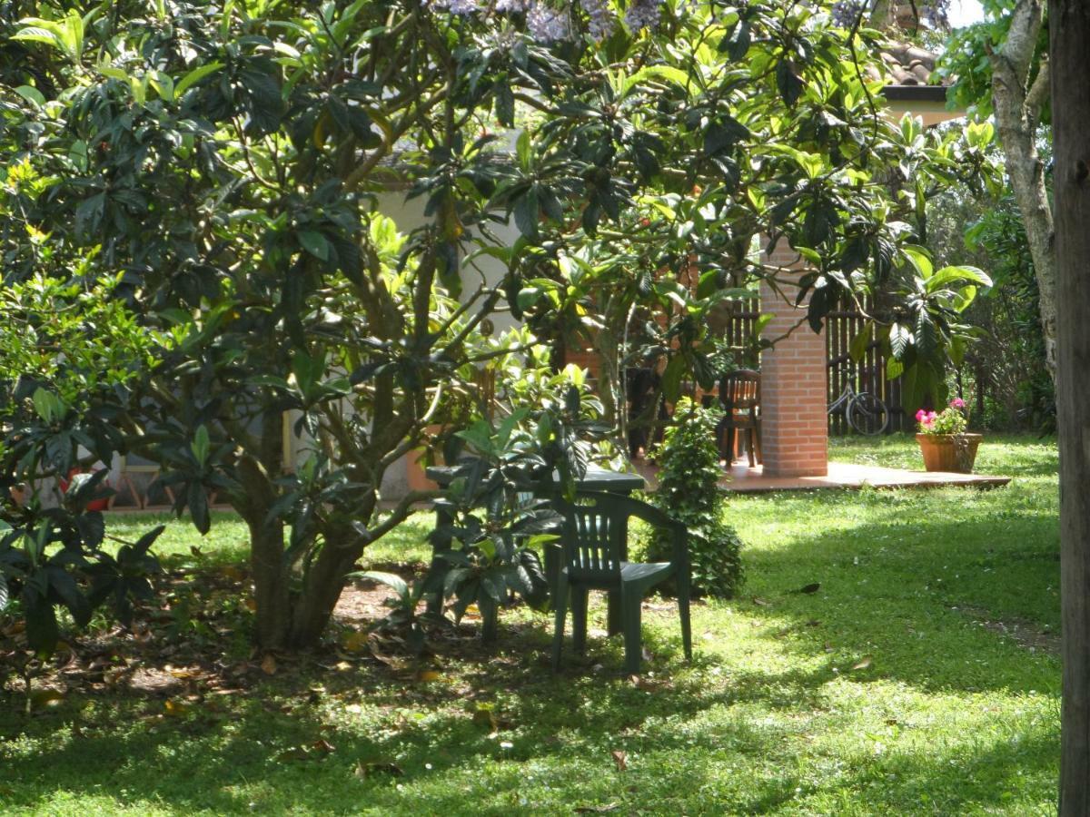 Agriturismo Piana Arborello Hotel Magliano in Toscana Exterior photo