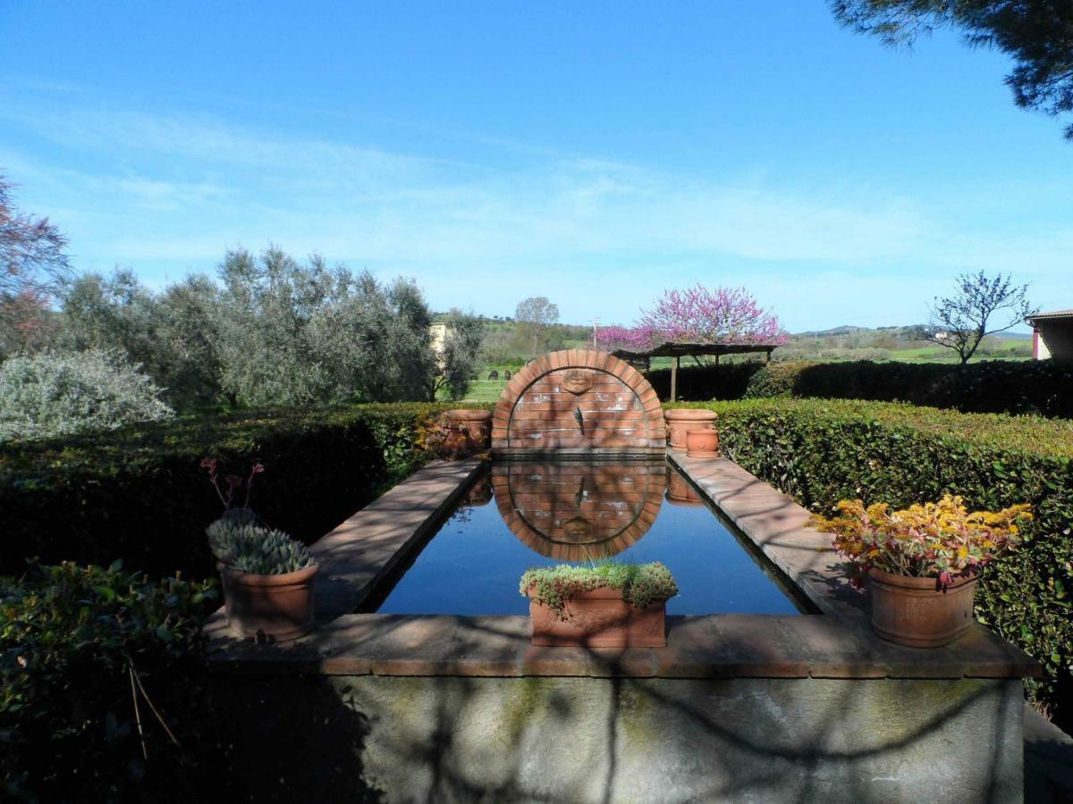 Agriturismo Piana Arborello Hotel Magliano in Toscana Exterior photo