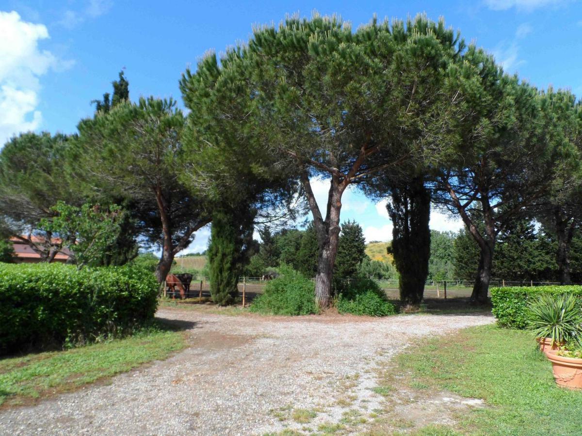 Agriturismo Piana Arborello Hotel Magliano in Toscana Exterior photo